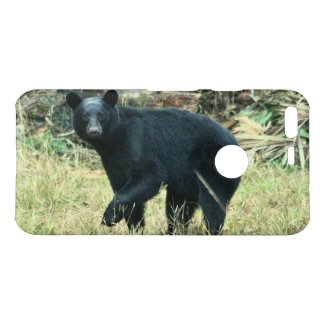 Florida Black Bear Google Phone Cases
