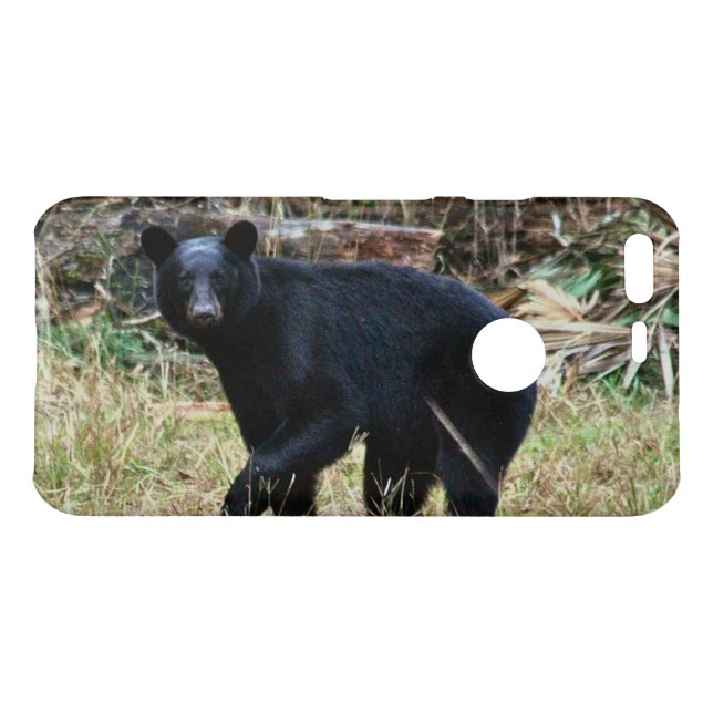 Florida Black Bear Google Phone Cases (Back (Horizontal))