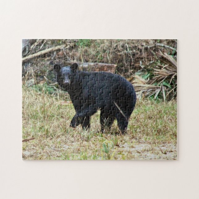 Florida Black Bear Jigsaw Puzzle (Horizontal)