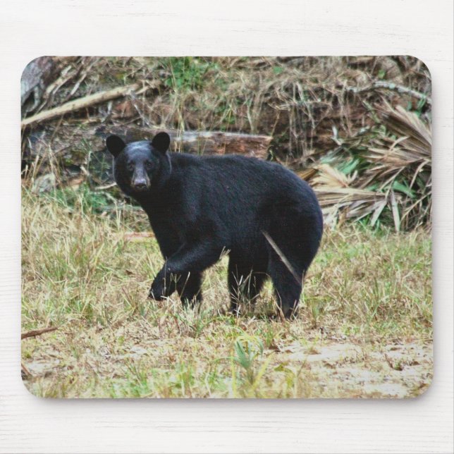 Florida Black Bear Mouse Pad (Front)