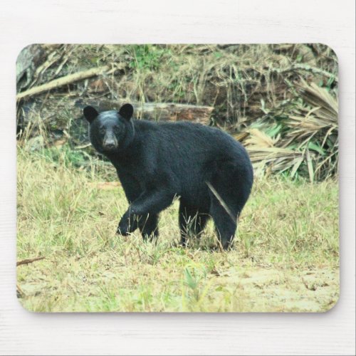 Florida Black Bear Mouse Pad