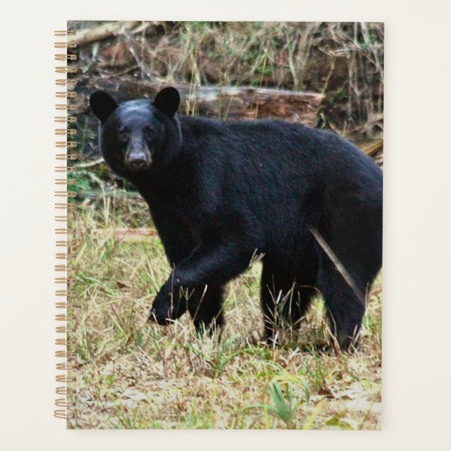 Florida Black Bear Planner (Front)