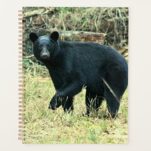 Florida Black Bear Planner