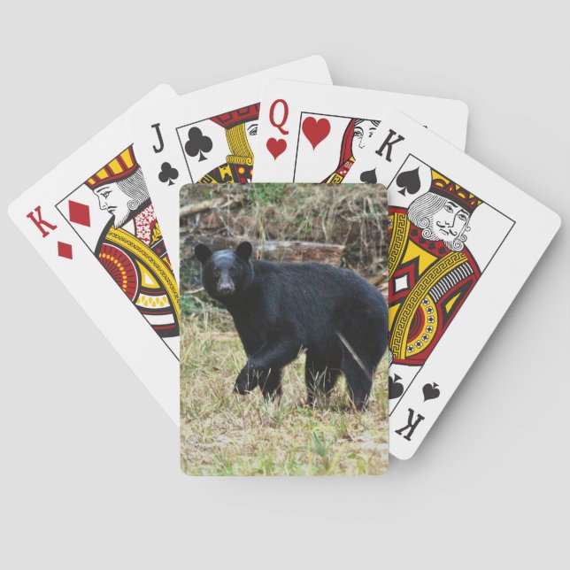 Florida Black Bear Poker Cards (Back)