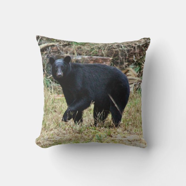 Florida Black Bear Throw Pillow (Front)