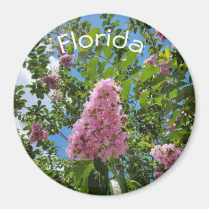 Florida blossoms magnet