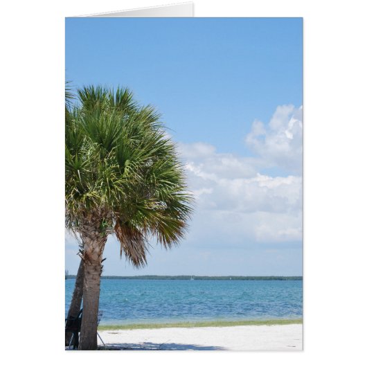 Florida - calm beach cards (Front)