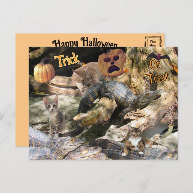 Florida Cat and Gator Halloween Postcard (Front/Back)
