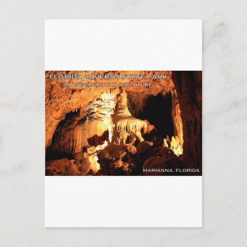 FLORIDA CAVERNS STATE PARK _ Marianna Florida Postcard