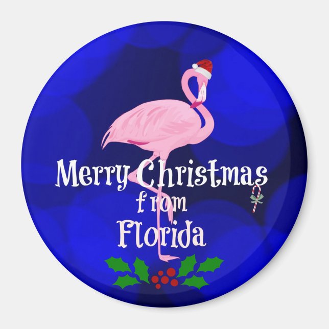 Florida Christmas Greetings from Santa Flamingo Ma Magnet (Front)