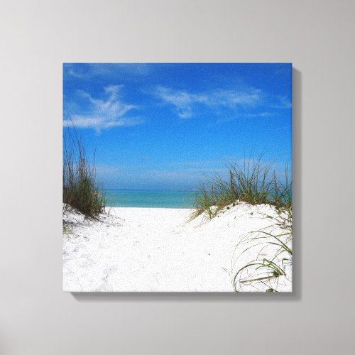 Florida Coquina Dunes Canvas Print