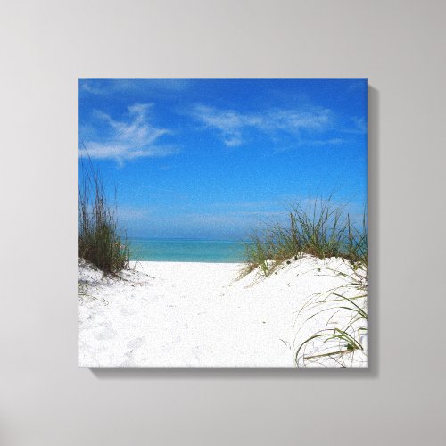 Florida Coquina Dunes Canvas Print