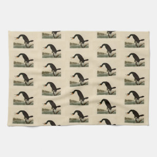Florida Cormorant from Audubon's Birds of America Kitchen Towel