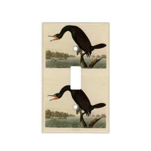 Florida Cormorant from Audubon's Birds of America Light Switch Cover
