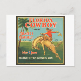 Florida Cowboy Kissimmee Citrus Growers Vintage Cr Postcard
