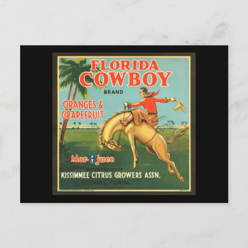 Florida Cowboy Oranges  Grapefruit Vintage Ad Postcard