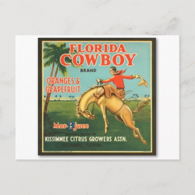 Florida Cowboy Postcard (Front)