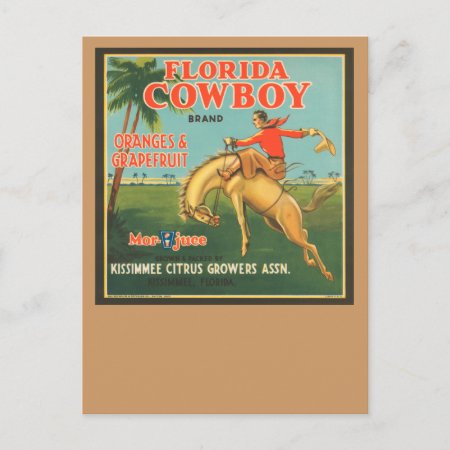 Florida Cowboy Postcard