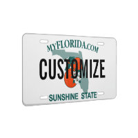 ORLANDO FLORIDA License NEW Plastic