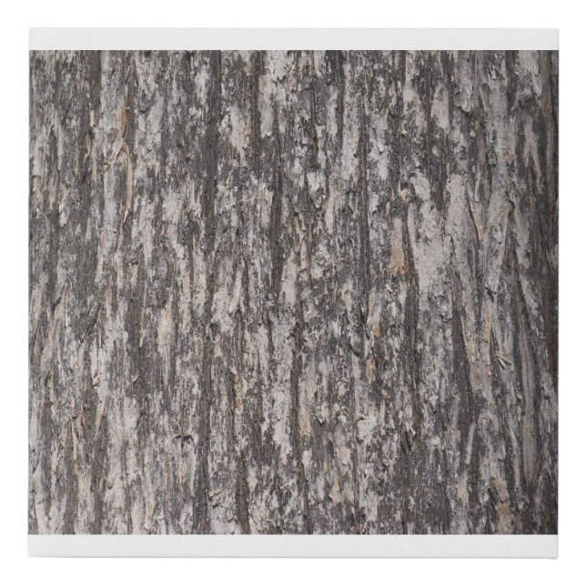 Florida Cypress Tree Trunk Bark Faux Canvas Print (Front)