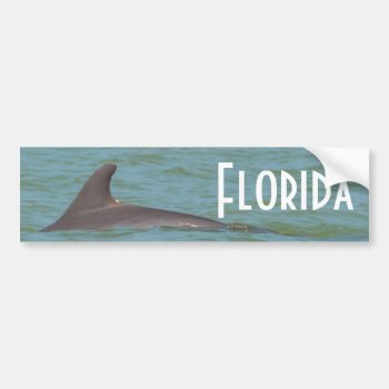 Florida Dolphin Bumper Sticker by PhotosfromFlorida at Zazzle