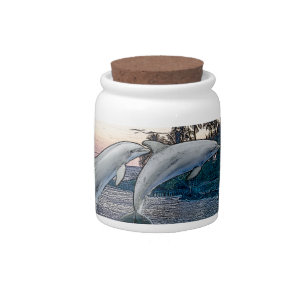 Florida Dolphins Candy Jar