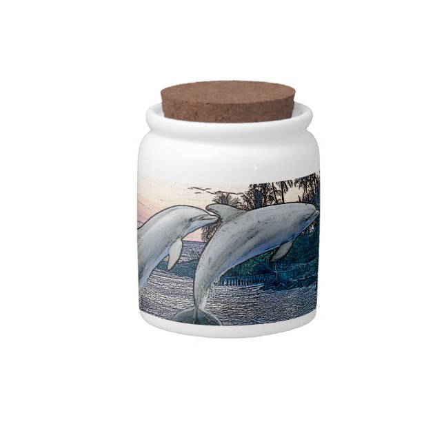 Florida Dolphins Candy Jar (Front)