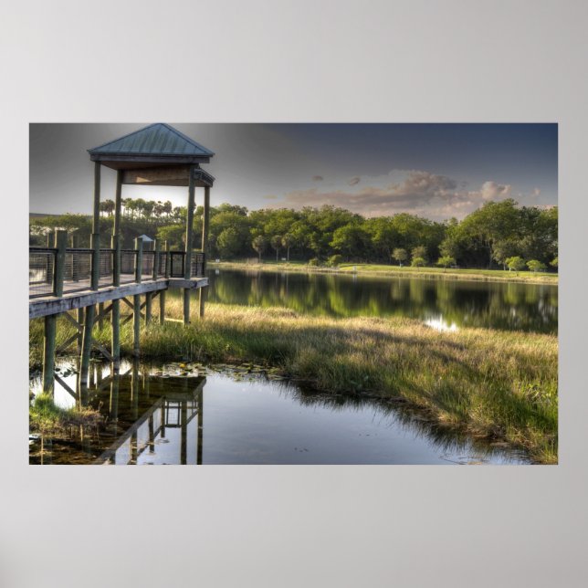 Florida Everglades Poster (Front)