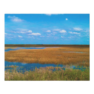 Florida Everglades Sawgrass, Sky & Reflections Faux Canvas Print