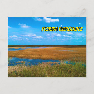 Florida Everglades Sawgrass, Sky & Reflections Postcard