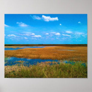 Florida Everglades Sawgrass, Sky & Reflections Poster