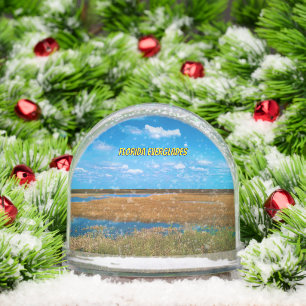 Florida Everglades Sawgrass View Souvenir Snow Globe