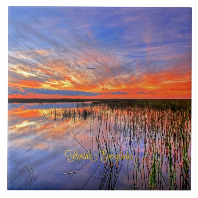 Florida Everglades, scenic panorama, Ceramic Tile (Front)