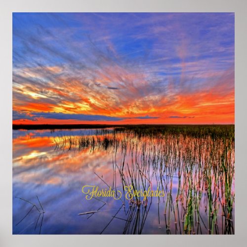 Florida Everglades scenic panorama Poster
