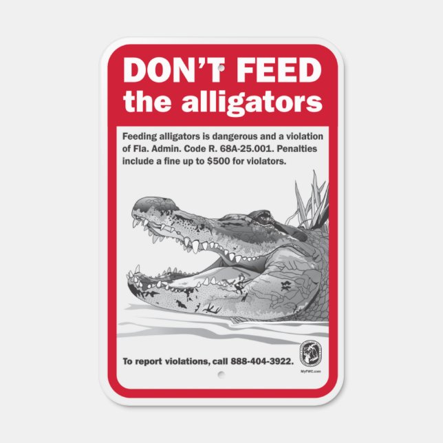 Florida Feeding Alligators Sign (Front)