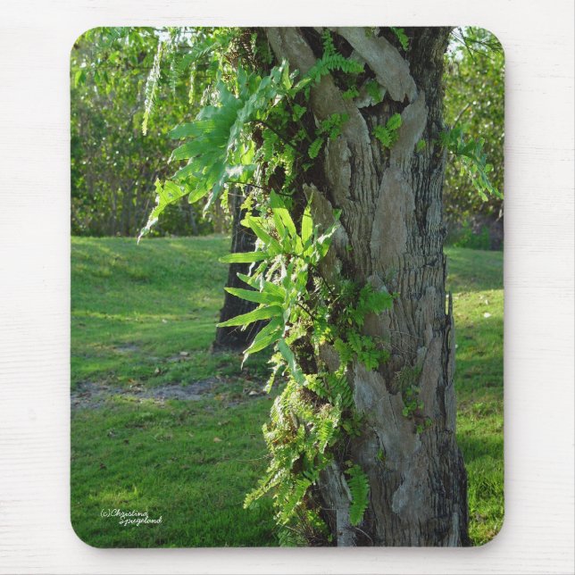 Florida ferns Mousepad (Front)