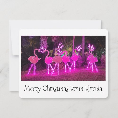 Florida Flamingo Christmas Card