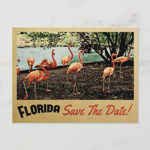 Florida Flamingo Save The Date Vintage Postcards