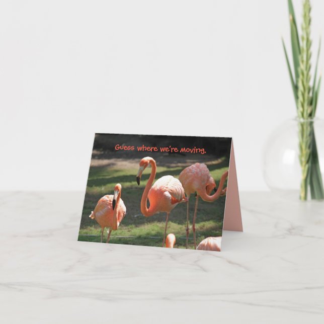 FLORIDA FLAMINGOS MOVING CARD (Front)
