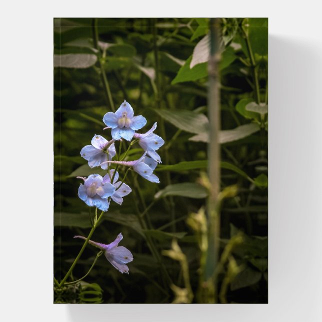 Florida Flowers #12   Paperweight (Vertical)