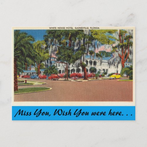 Florida Gainesville White House Hotel Postcard