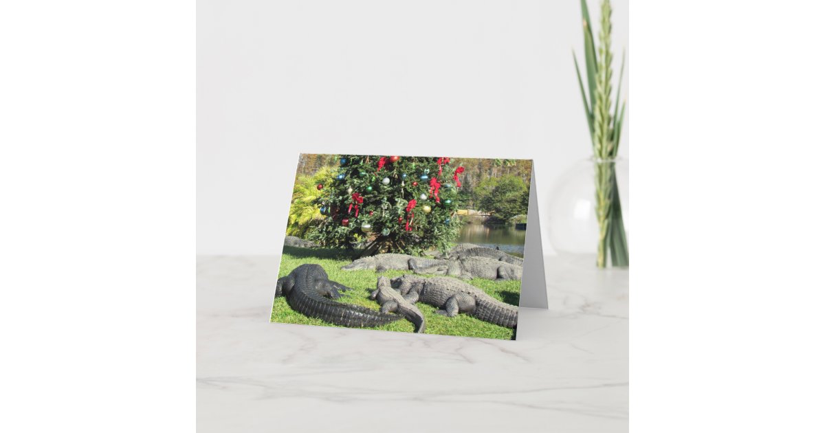 Florida Gator Christmas Holiday Card Zazzle
