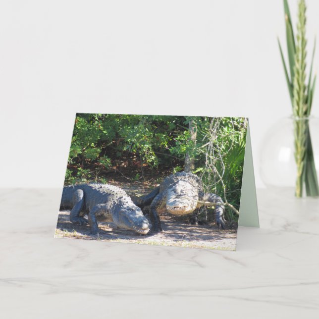 Florida Gator Crossing Greeting Card (Front)