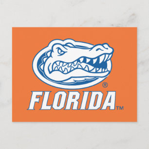 Florida Gator Head Blue & White Postcard