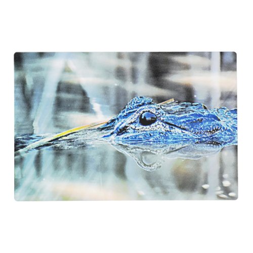 Florida Gator Kitchen Place Mat