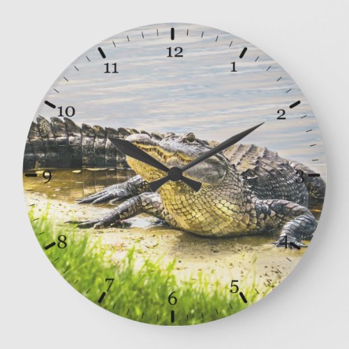 Florida gator large clock