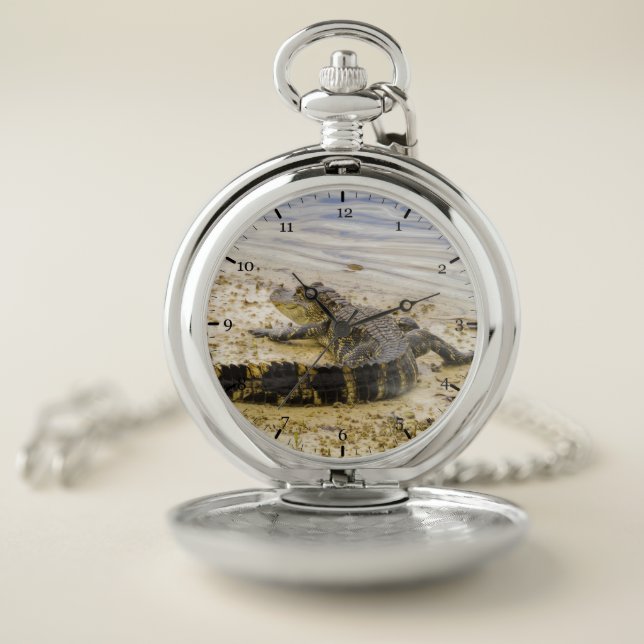 Florida Gator Pocket Watch (Inside)