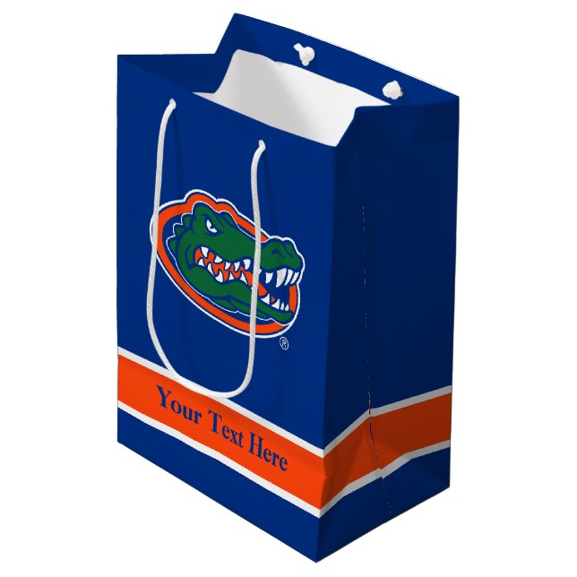 Florida Gators Gift Bag - Medium (Front Angled)