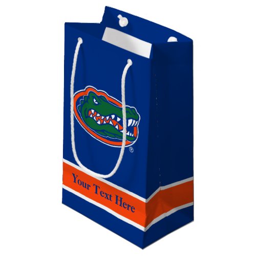 Florida Gators Gift Bag _ Small