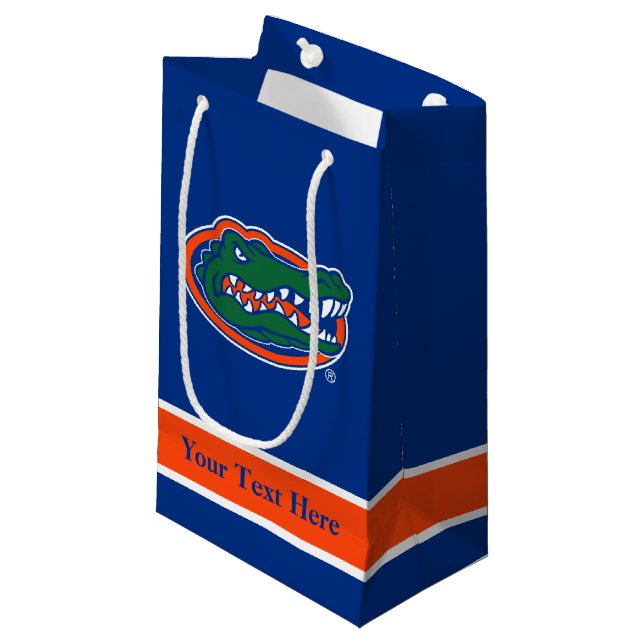 Florida Gators Gift Bag - Small (Front Angled)